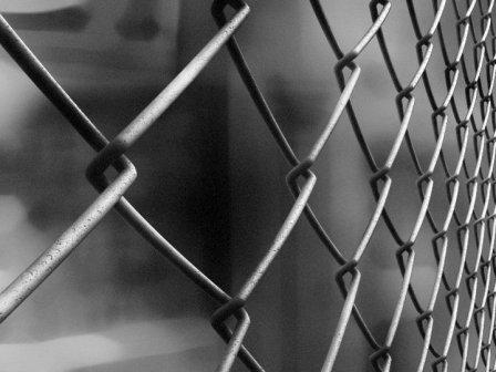 Сітка для огорожі метелева